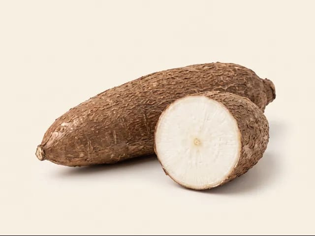 Tapioca (cassava, yuca) — photograph